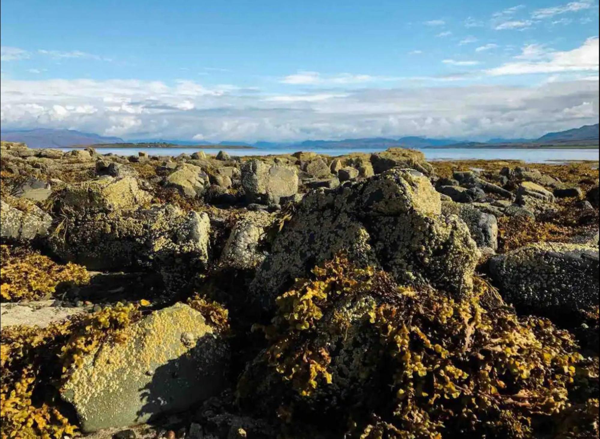 Mackinnon Cottage - 3 Bedroom Cottage Broadford (Isle of Skye) Esterno foto